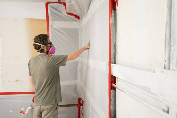 Trusted Blanding, UT Mold Removal Experts